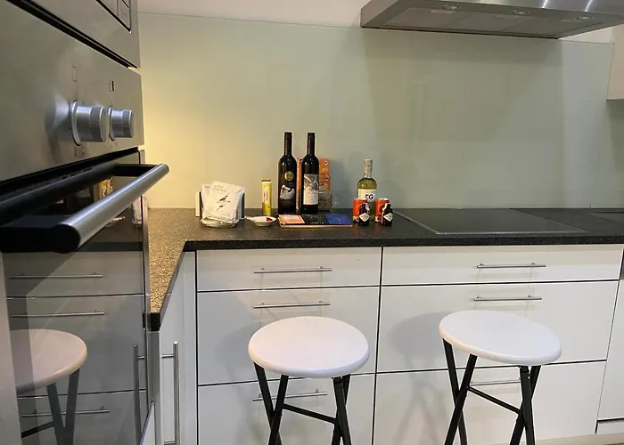 Luxury Serviced 3-bedroom Flat In Vienna's 1st District